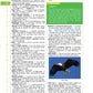 Sample page from Merriam-Webster's Elementary Dictionary