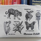 Image of a cotton zip pouch with hand-drawn illustrations of plants and animals paired with their headword, with the Merriam-Webster vintage logo in the lower right.